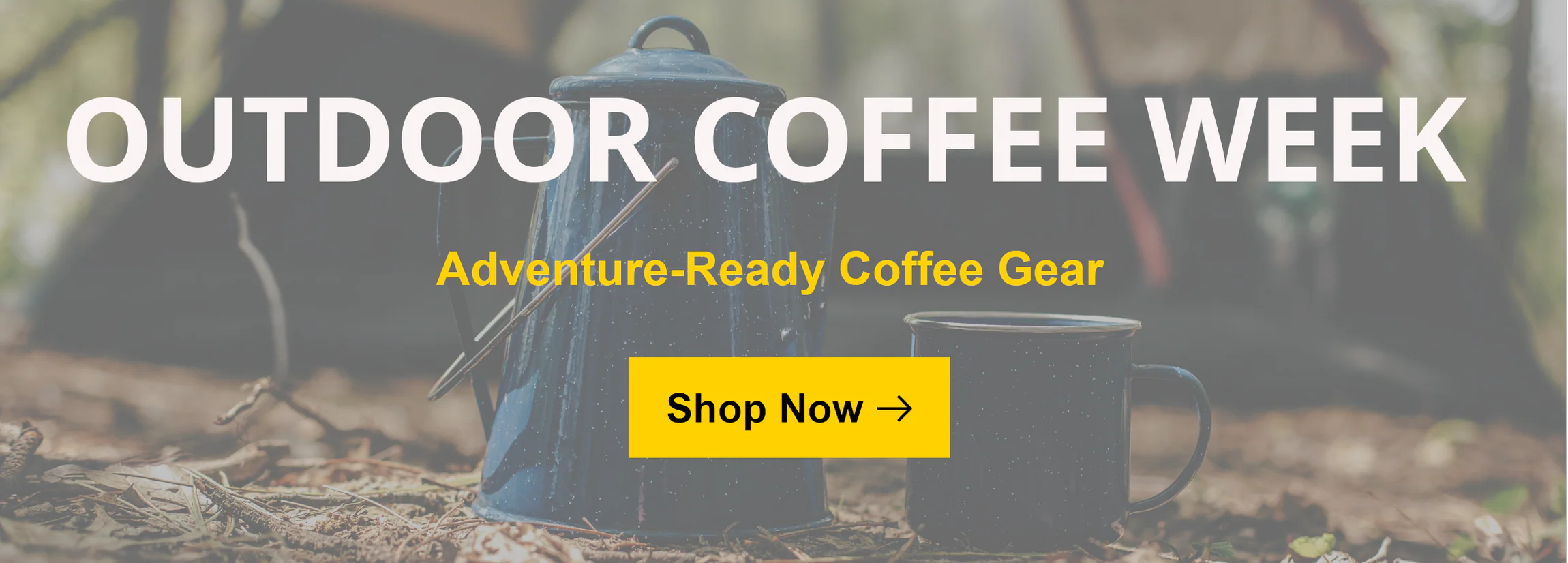 Elevate Your Everyday Essentials
